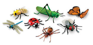 Froggy Fly Fling - Image 5