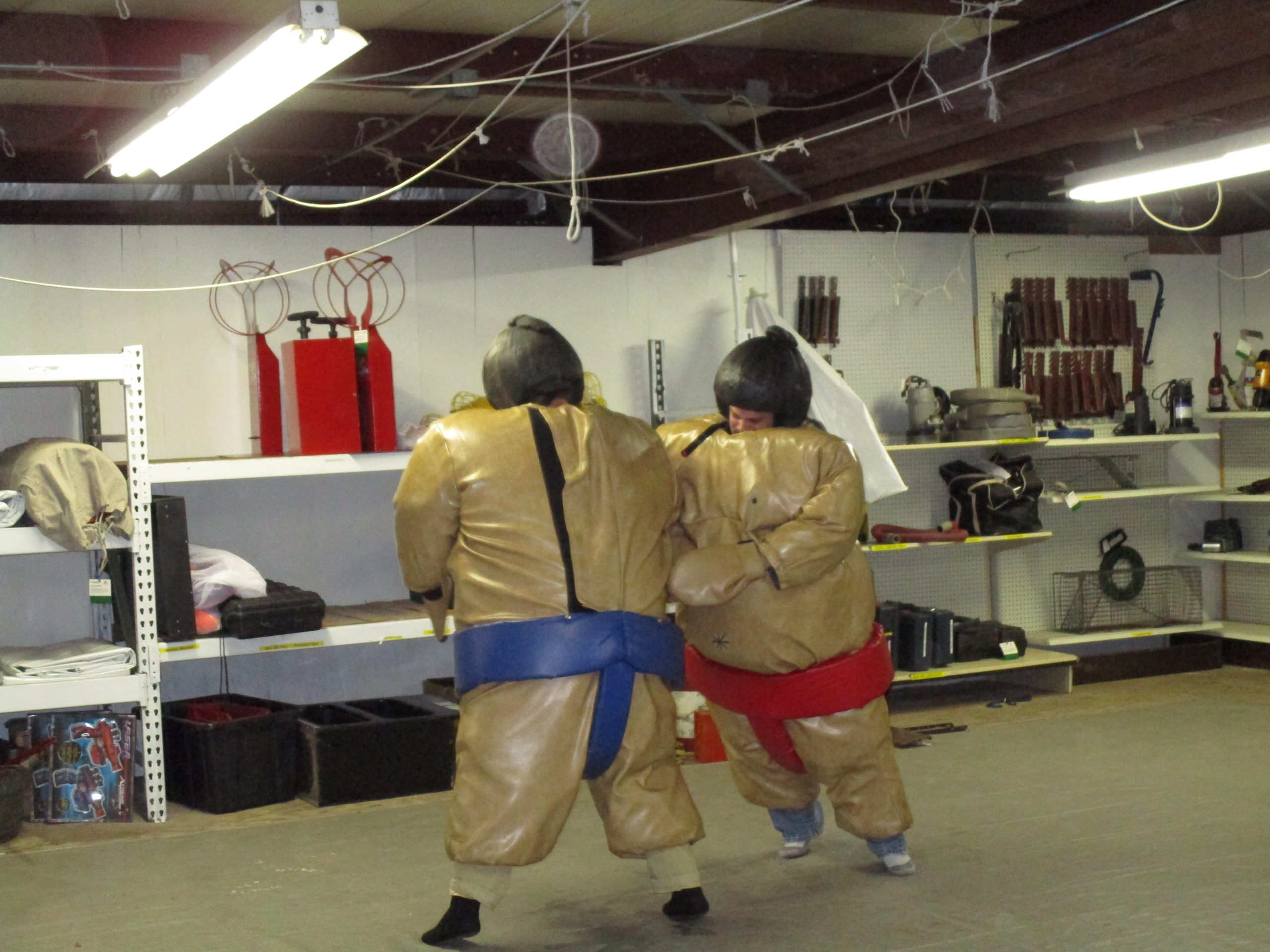 Sumo Wrestlers with Mat - Image 8