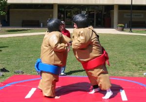 Sumo Wrestlers with Mat