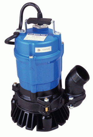 2" Electric Submersible Pump