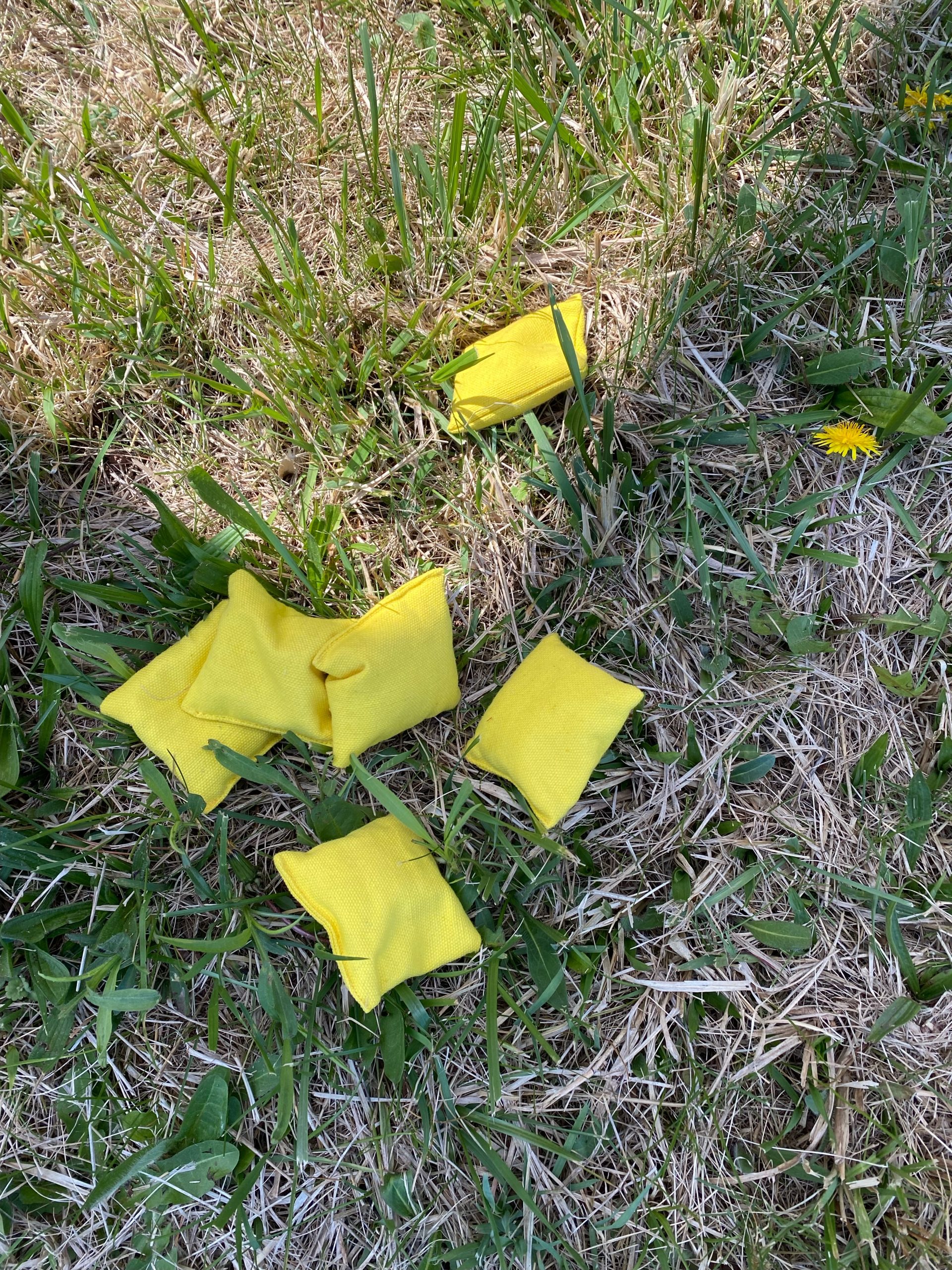 Carnival 5 n 1 - Image 8