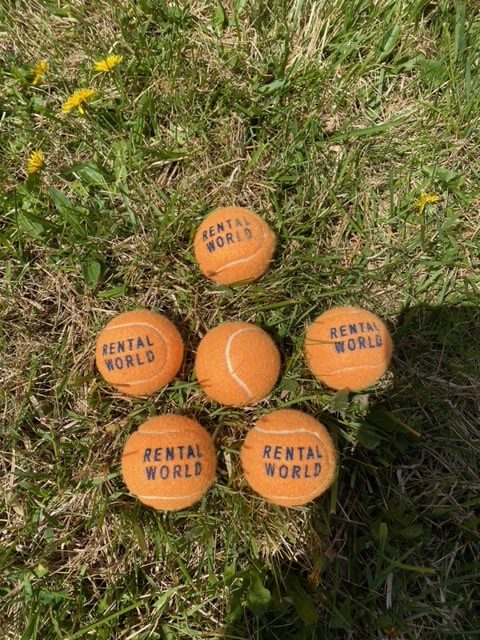 Carnival 5 n 1 - Image 9